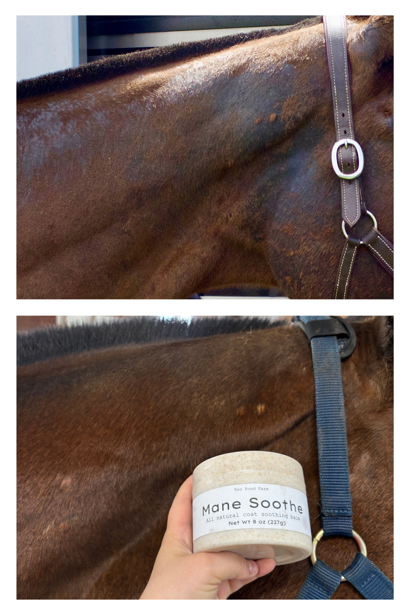 Mane Soothe – Natural Rain Rot Balm