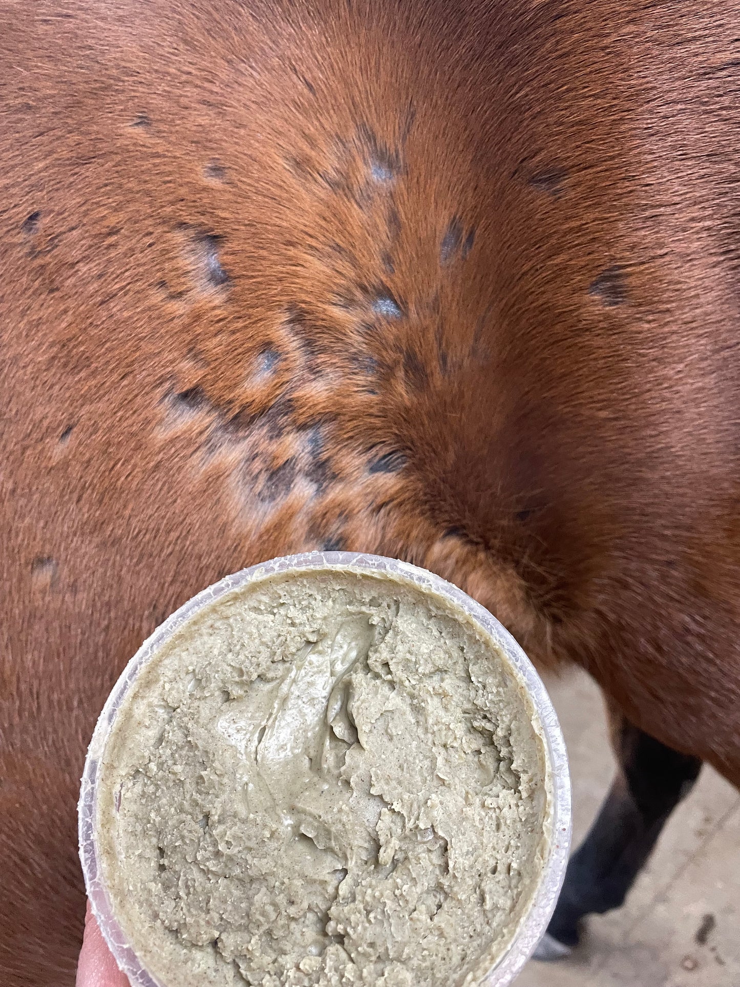Mane Soothe – Natural Rain Rot Balm