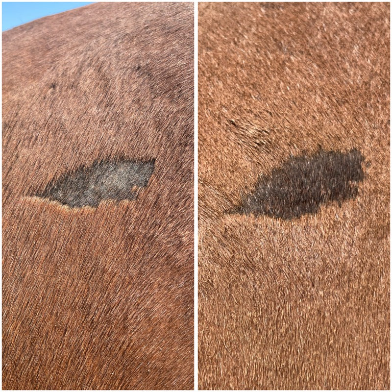 Mane Soothe – Natural Rain Rot Balm